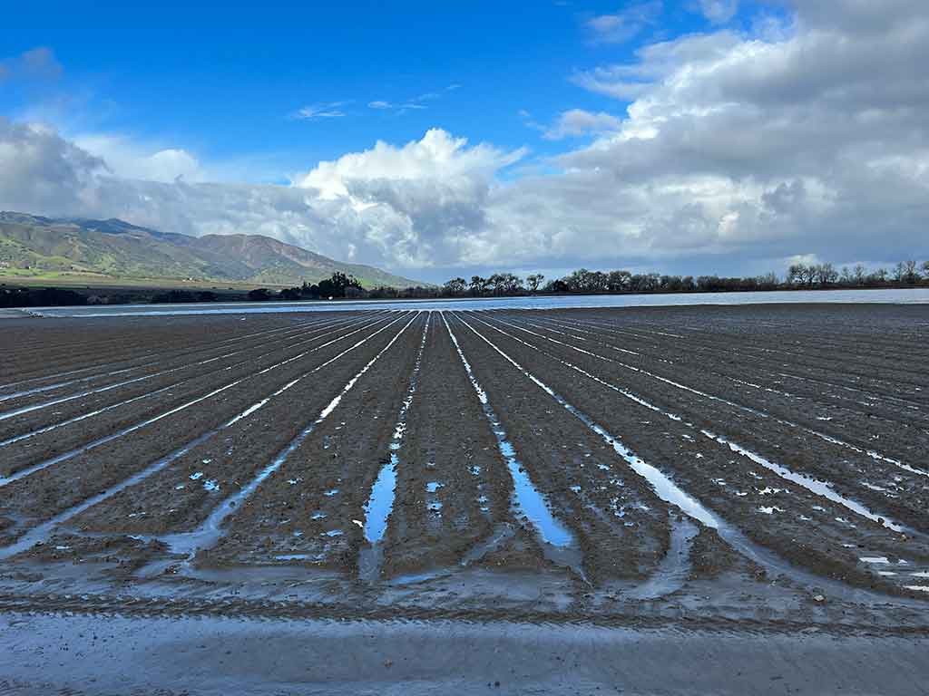 Fields Flooded with clear skies on their way